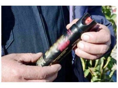 La venta de gas pimienta creci� diez veces m�s que el a�o pasado