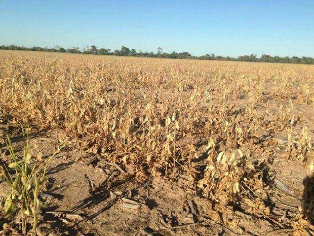 Sequ�a en Salta: dram�tico pedido de senadores por los obreros que quedar�n sin trabajo