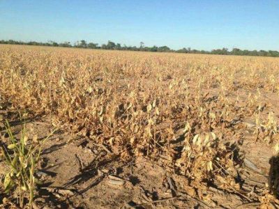 Sequ�a en Salta: dram�tico pedido de senadores por los obreros que quedar�n sin trabajo