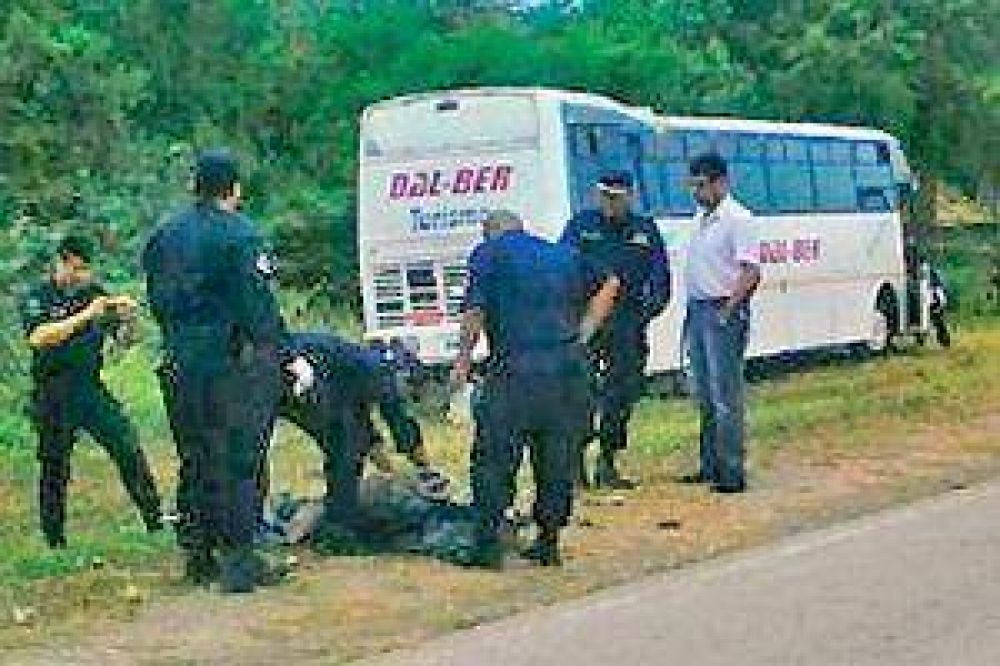 Intent� cruzar la ruta 1 a pie y muri� embestido por colectivo