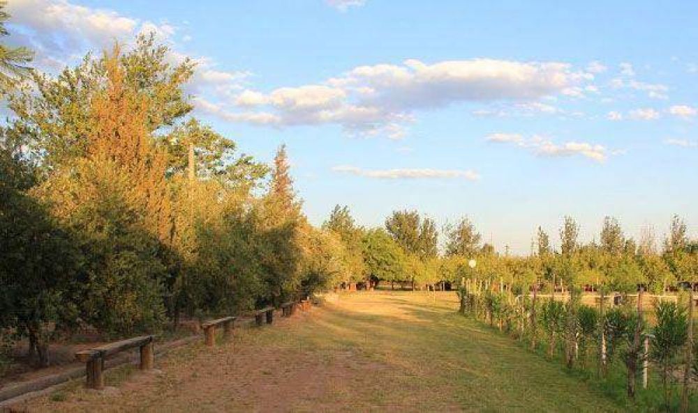 Encontraron m�s animales en cautiverio en finca El Pinar