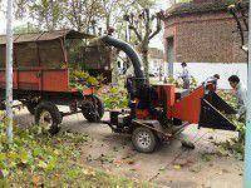 Comenz� la poda por la calle Taborda