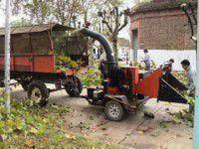 Comenz� la poda por la calle Taborda