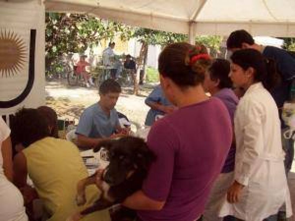 UNNE Salud realiza operativo de fumigaci�n en el Barrio 506 viviendas