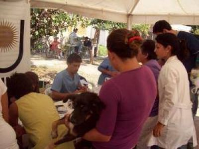 UNNE Salud realiza operativo de fumigaci�n en el Barrio 506 viviendas