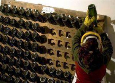 Mendoza, �necesita una bodega estatal?
