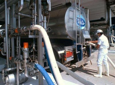 Ciclos productivos: la lecher�a vive su primavera