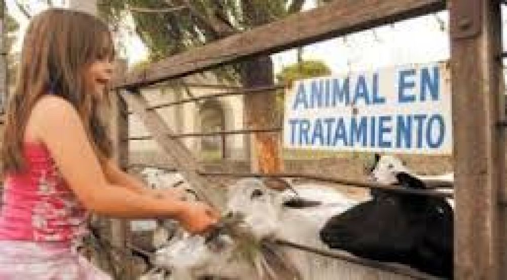 Final para una cl�sica postal: Trasladaron a la mayor�a de los animales del zool�gico bahiense	