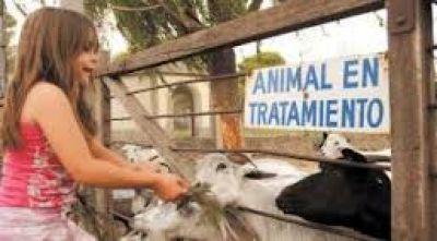 Final para una cl�sica postal: Trasladaron a la mayor�a de los animales del zool�gico bahiense	
