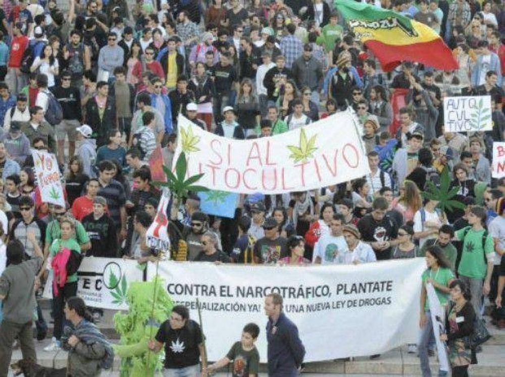 Rosario dijo presente en la movida nacional por la despenalizaci�n del cultivo y consumo de marihuana