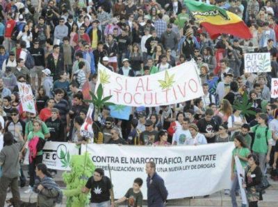 Rosario dijo presente en la movida nacional por la despenalizaci�n del cultivo y consumo de marihuana