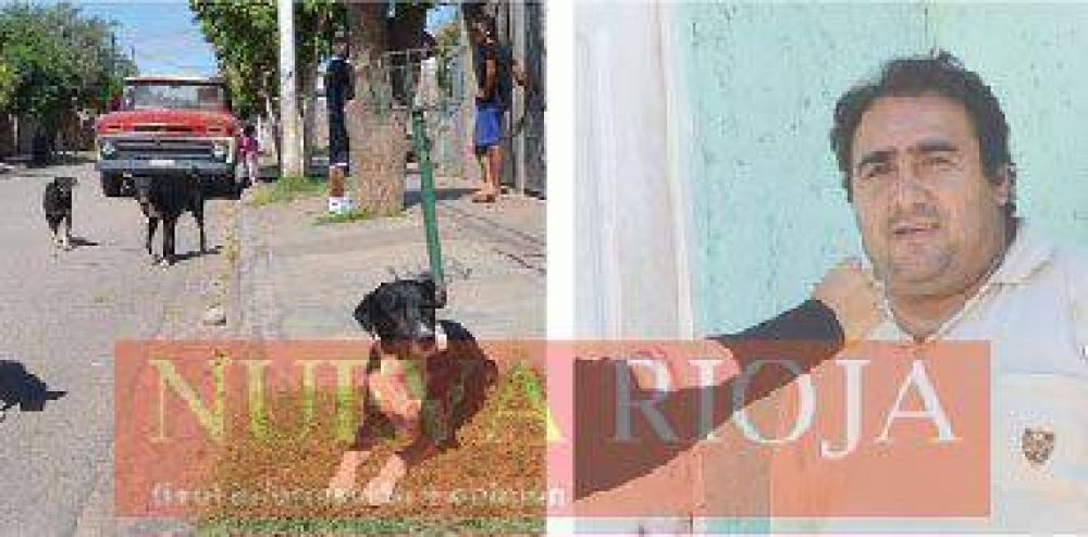 Misteriosa aparici�n de un ni�o en barrio Parque Industrial