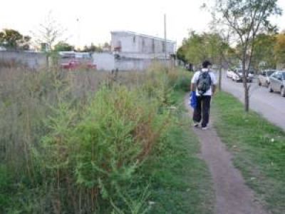 Villa Mercedes: multar�an a los due�os de m�s de mil bald�os sin cuidado