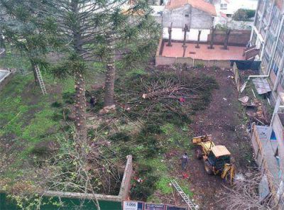 �Otro saqueo al patrimonio de la ciudad�