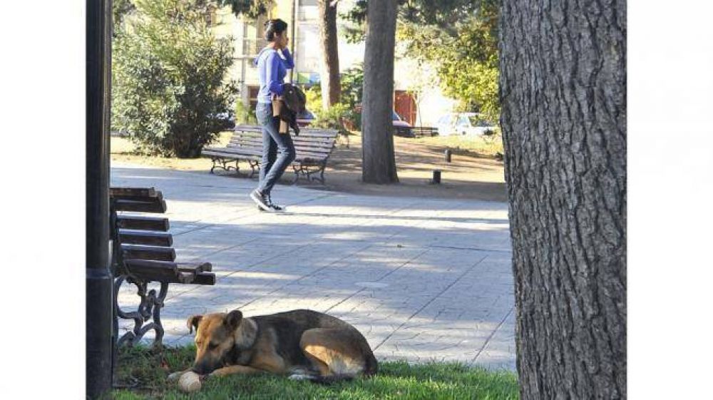 De�n Funes sigue en emergencia sanitaria