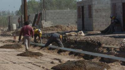 Buscan tierras para construir viviendas