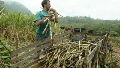 Desde la UCR piden que la Provincia subsidie a los ca�eros