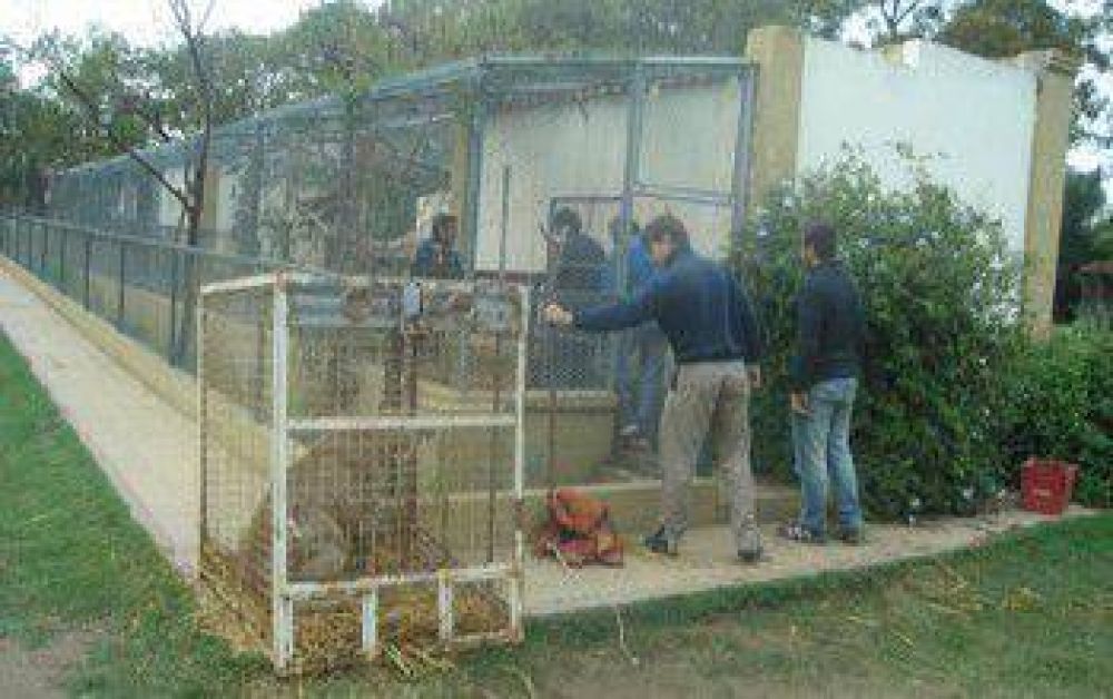 Proteccionistas destacaron el traslado de los animales del Zoo