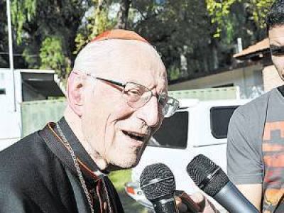 Un cardenal en San Luis