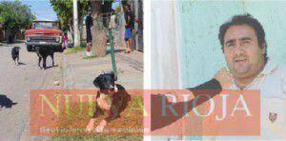 Los vecinos ven deambular a un ni�o por las noches acompa�ado de tres perros