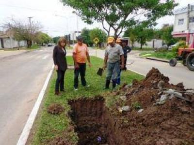 Trabajos de mantenimiento en avenida Rivadavia al 1200