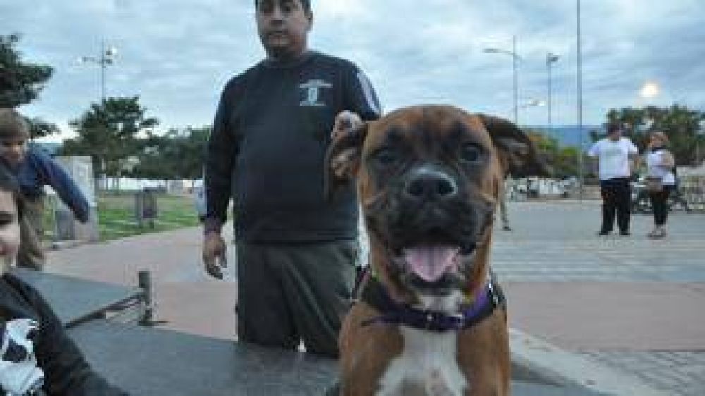 En el Parque de los Ni�os concluyeron las celebraciones por la Semana del Animal