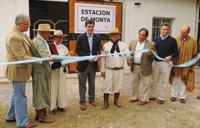 En la Rural funcionar� un centro de alta tecnolog�a para la reproducci�n de equinos