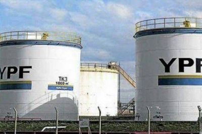 YPF tom� el control de Metrogas