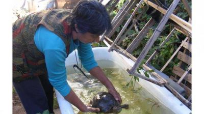 M�s animales salvajes aparecen en ciudades y pueblos