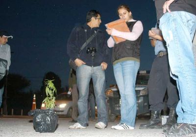Los sorprenden con planta de marihuana en el ba�l 