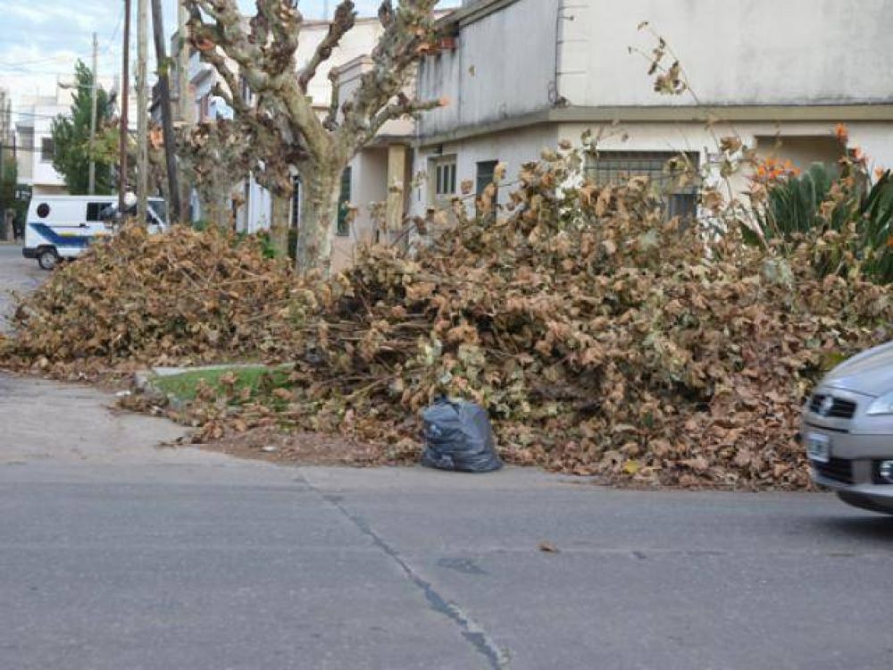 Ramas y basura generan quejas de los vecinos