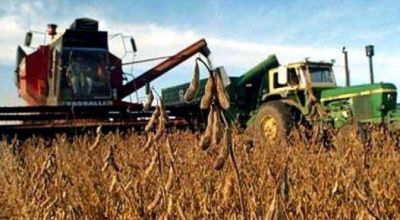Estiman p�rdidas en soja del 40% en el Chaco