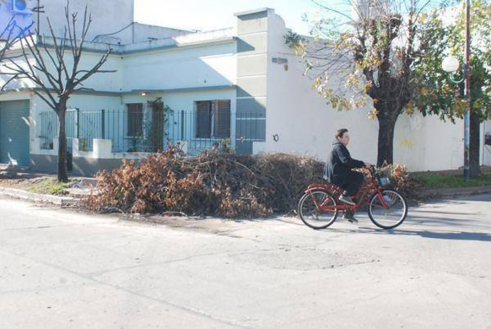 Los barrios siguen sin recolecci�n de ramas