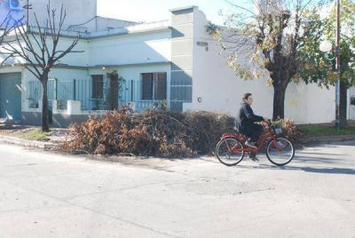 Los barrios siguen sin recolecci�n de ramas
