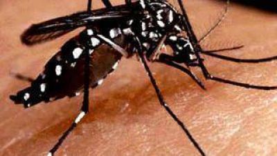 Estudian posible caso de dengue