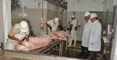 Activaron la planta de faena de peque�os animales en Santa Rosa