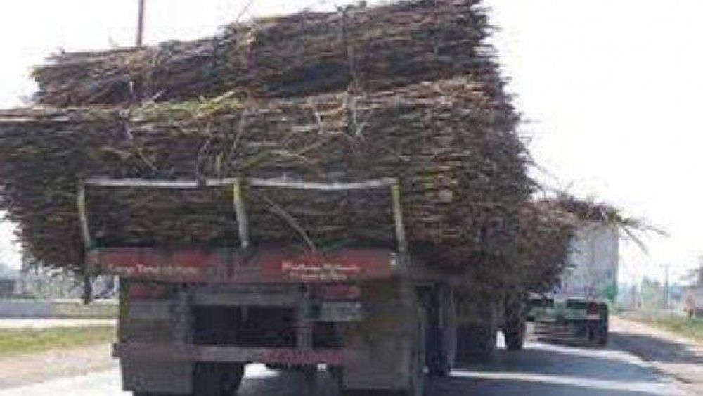 Por el inicio de la zafra, solicitan intensificar los controles en las rutas