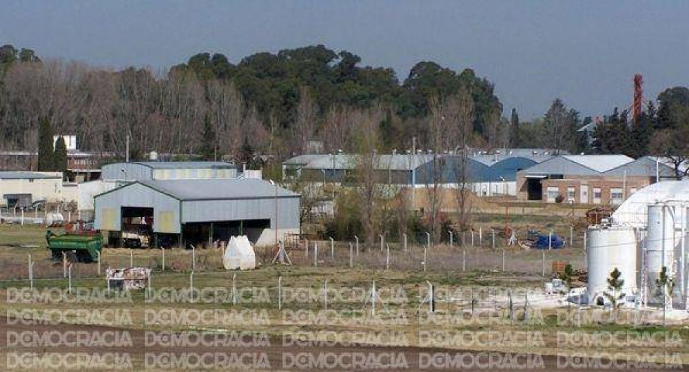 El meonismo dice que en 7 a�os se crearon 5.000 puestos de trabajo en nuestra ciudad