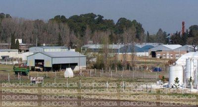 El meonismo dice que en 7 a�os se crearon 5.000 puestos de trabajo en nuestra ciudad