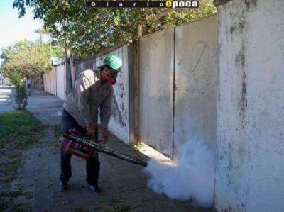 Dengue: alerta por otro caso sospechoso en Capital