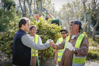 El Municipio contin�a su Plan de Poda y Forestaci�n en todo Tigre