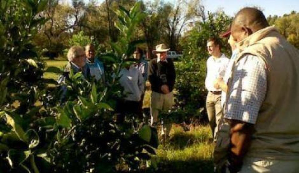 Un grupo de productores africanos visitaron campos en Baradero