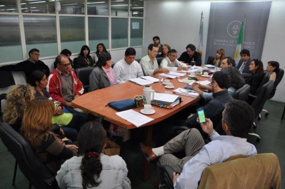 Padres ratificaron que firmaron el amparo, pero dijeron a diputados que lo hicieron "en desconocimiento" de lo que dec�a