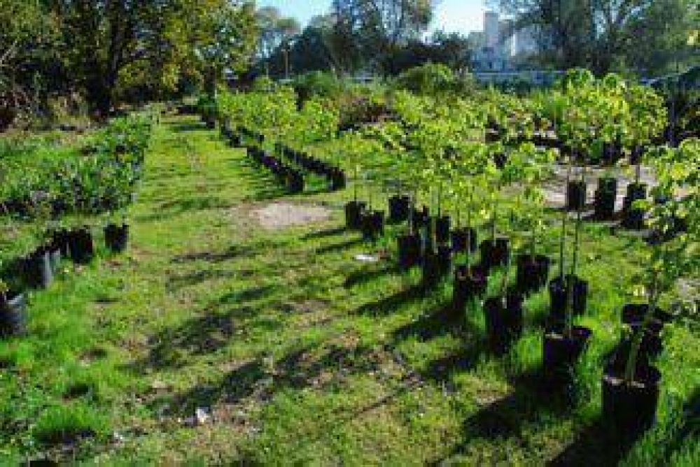 El municipio adem�s de comprar flores, ahora las produce