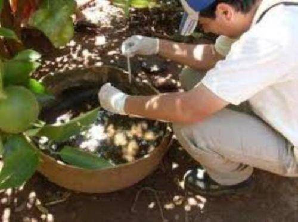 Dengue: encontraron m�s de 700 lugares con larvas del mosquito