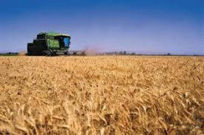 Federaci�n Agraria considero positiva la medida de fondo fiduciario para el trigo 