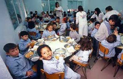 Proponen crear un complemento dietario para los comedores