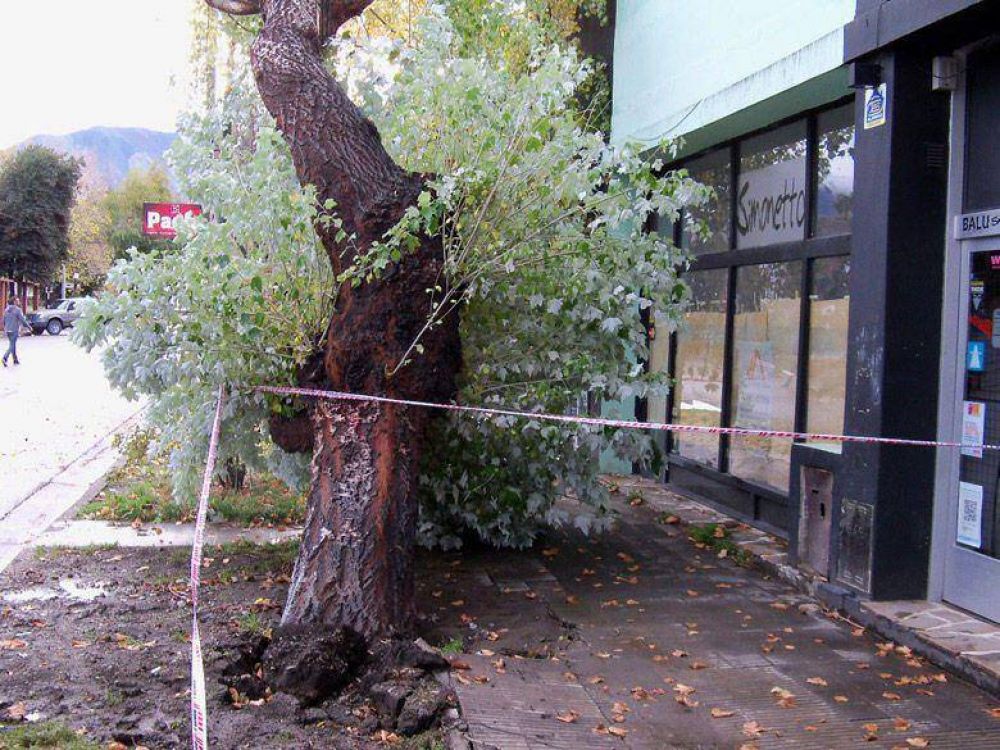 Lo que el viento se llev�