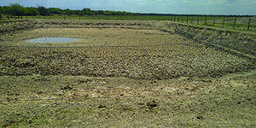Quintana: �se declarar� la emergencia agropecuaria en Formosa�