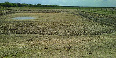 Quintana: �se declarar� la emergencia agropecuaria en Formosa�